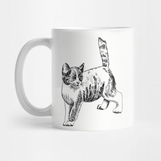 kitten Mug